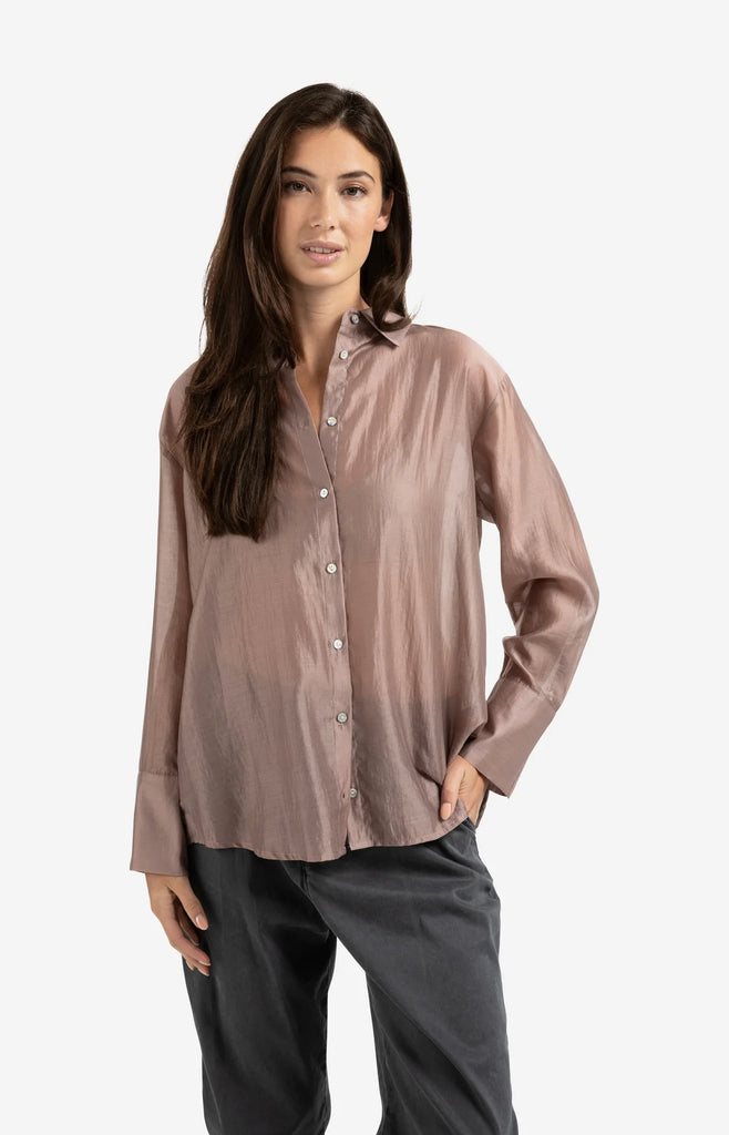 Sheer Blouse with Refined Back