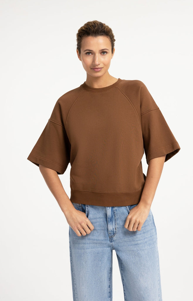 Sweatshirt with raglan sleeves- Brown