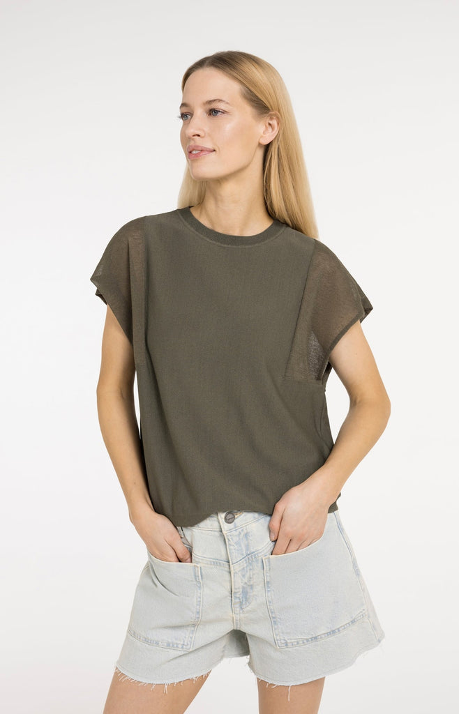 Top with sheer sleeves
